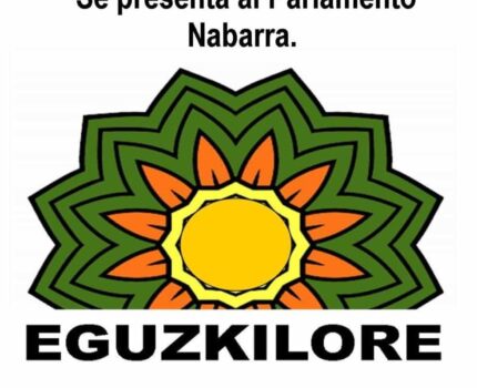 El BON publica el listado con 816 candidaturas a las elecciones al Parlamento, municipios y concejos del próximo 28 de mayo