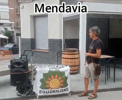 Eguzkilore en Mendavia